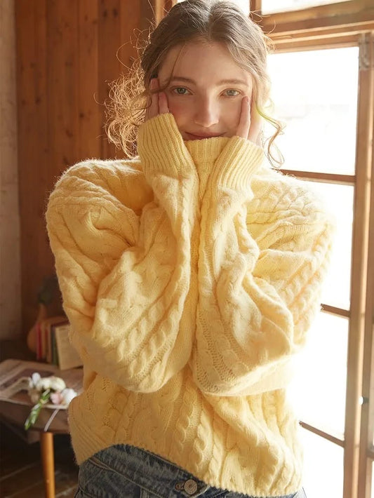 EvolveX “WinterMuse” Sweaters